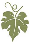 The ivy leaf featured in the 