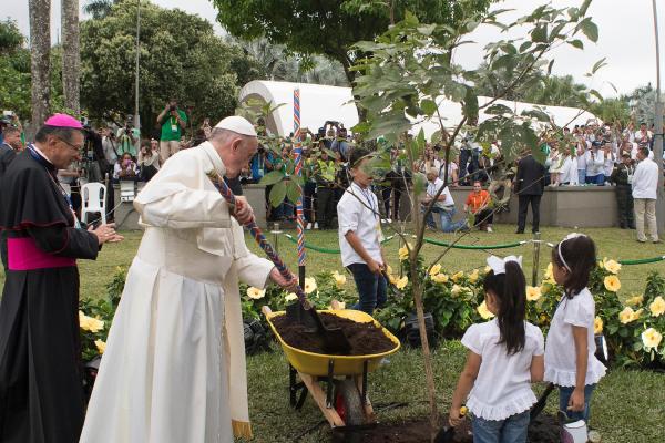 pope tree planting
